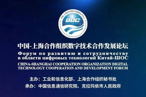 數(shù)字賦能龜茲文化 上合框架下的文化傳承與產(chǎn)業(yè)融合新路徑